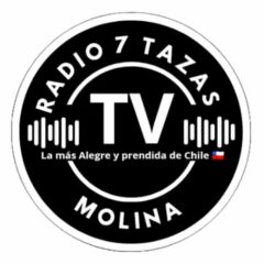 Radio 7 tazas